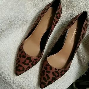 BCBG Suede leopard print  skin  size 6 shoe